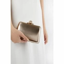 Dune London Metallic Become Diamante Knot Clasp C Bag 13 Dune London Metallic Become Diamante Knot Clasp C Bag -Dune London Sales unnamed file 4100