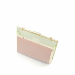 Dune London Blush Blaike Slim Hard Case Clutch -Dune London Sales unnamed file 4210